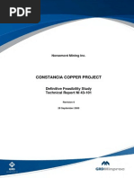 Download Constancia Technical Report Ni 43 101 by Beto Pari SN191818495 doc pdf