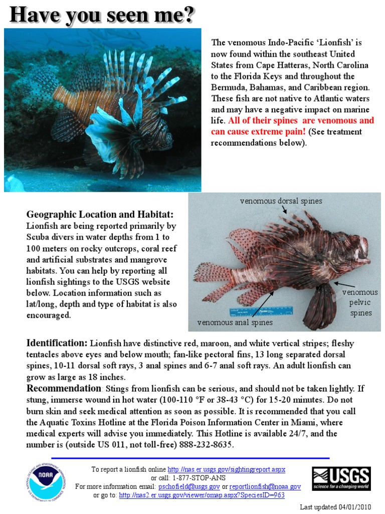 Lionfish Invasion and Treatment Guide | PDF