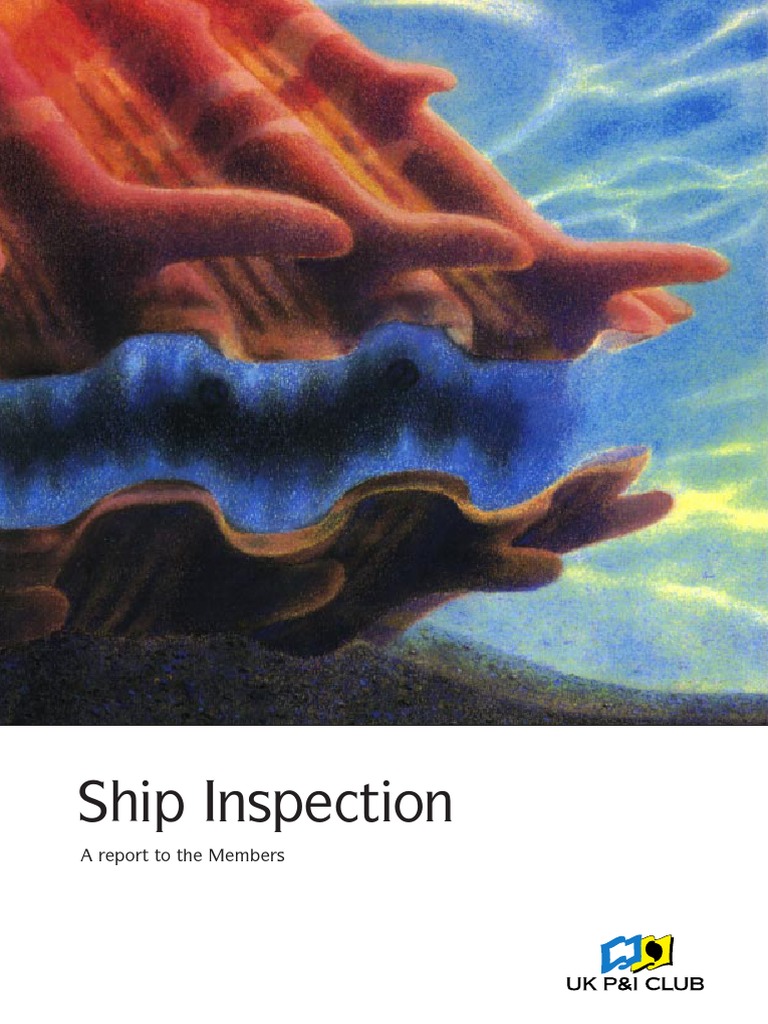 Ship Inspection Report Ships Board Of Directors