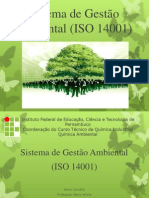 Sistema de Gestão Ambiental ISO 14001