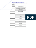 El Plan de Organización de La Materia Viva