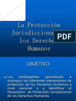 Diapositivas Presentacion de La Proteccion Jurisdiccional de Derechos Humanos
