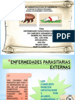 Seminario de Llamas