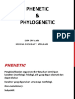 PHENETIC & PHYLOGENETIC