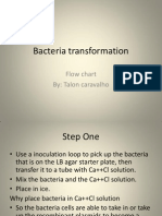 Talon Bacteria Transformation