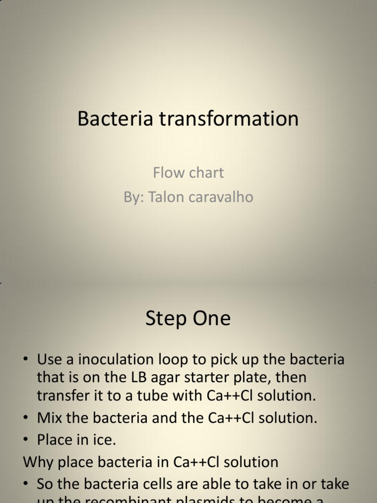Bacteria Transformation Process Guide | PDF | Wellness | Science ...