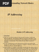 Understanding Network Basics: IP Addressing