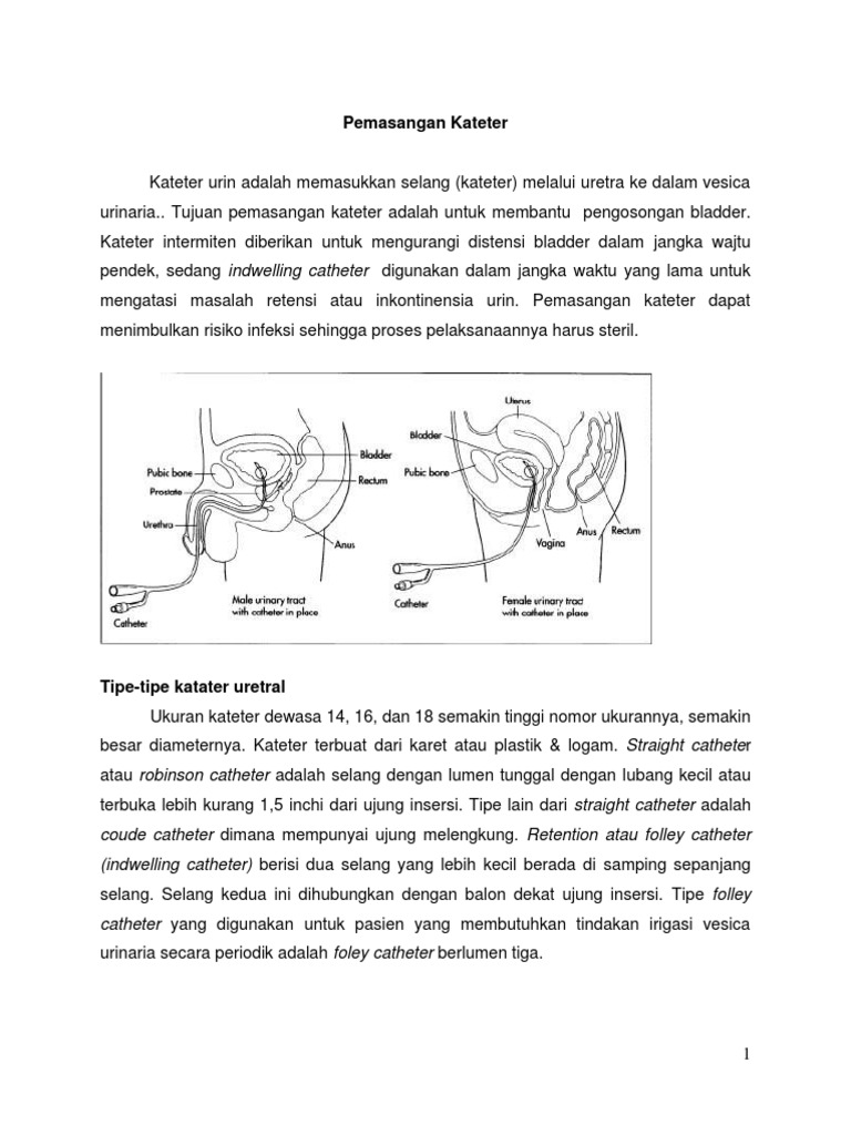 Prosedur Pemasangan Kateter Urin | PDF