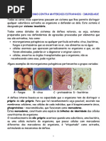 Defesa Do Organismo Contra Materiais Estranhos