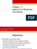 Payment Systems For Electronic Commerce