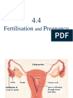 F3Chapter4 4FertilisationandPregnancy1