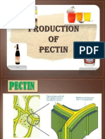 Production of Pectin