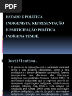 Estado e política indigenista