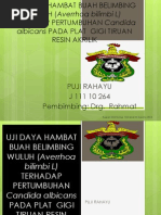 Download Daya Hambat Minimum Dhm Buah Belimbing by Mifta Fatia SN192046080 doc pdf