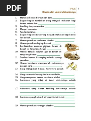 Ipa5 Jawaban