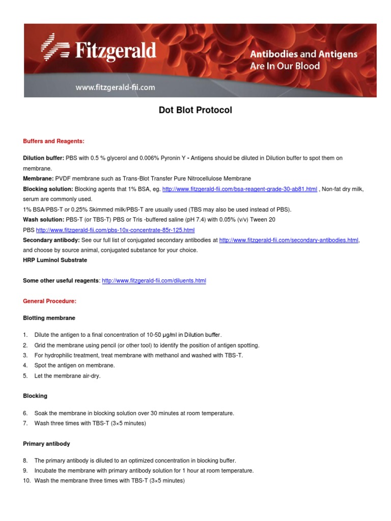 Dot Blot Protocol: Buffers and Reagents | PDF | Cooking, Food & Wine ...
