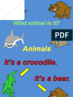 Animals Powerpoint