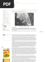 Download The Terrible Legacy of Agent Orange and Dioxin by Children Of Vietnam Veterans Health Alliance SN192094612 doc pdf