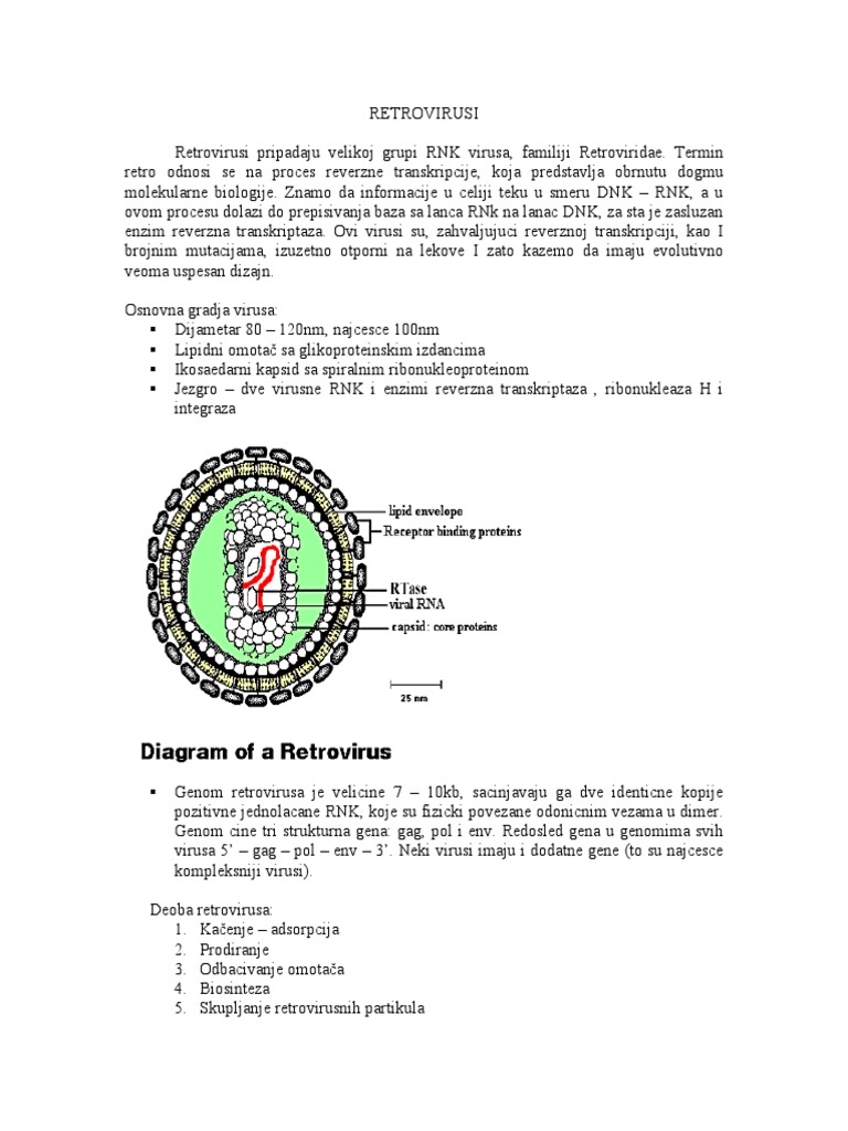 Retrovirus | PDF