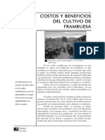 Costos y Beneficios Del Cuidado de La Frambuesa PDF