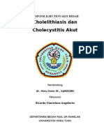 Responsi Ricardo S A_2008.04.0.0027_Cholelithiasis Dan Cholecystitis