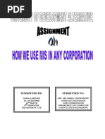 Download MIS ASS by Rana400 SN19212809 doc pdf