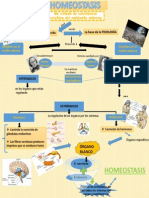 Homeostasis