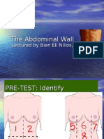 The Abdominal Wall