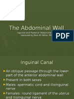 The Abdominal Wall Part Two