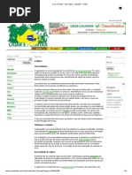 Criar e Plantar - Agricultura - Algodão - Cultivo