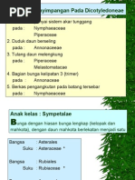 Download 6 Sympetalae by cHuAz TeeKaa SN19214678 doc pdf