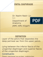 Dr. Nazim Nasir (jr-1) Department of Anatomy JNMC AMU Aligarh