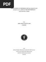 Download biodieselpdf by Wiwit Mulyaningsih SN192198874 doc pdf