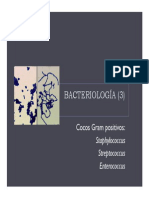 Bacteriologia_3