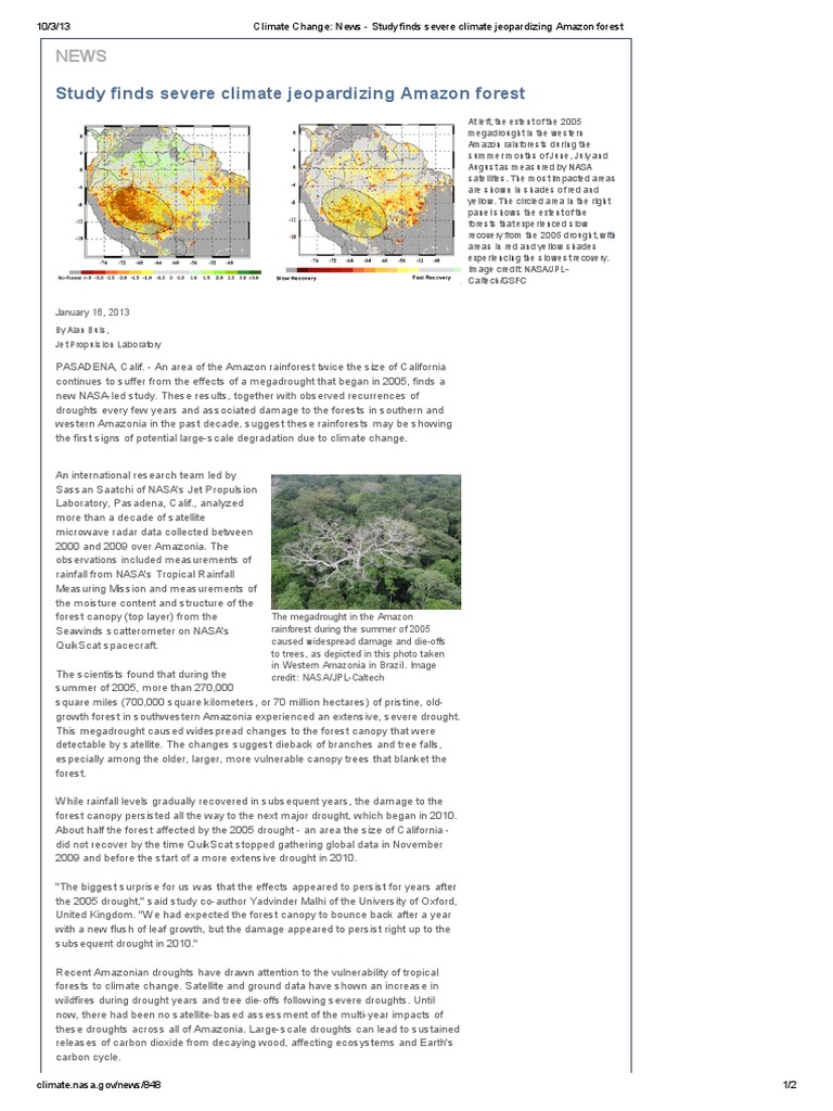 Amazon Rainforest Megadrought Study | PDF | Amazon Rainforest | Drought