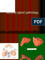 Adrenal Gland Pathology