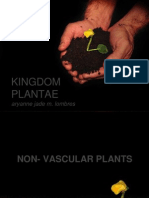 Biology Kingdom Plantae