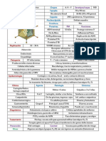 Adenovirus