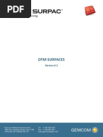 Dtm Surfaces