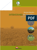Resumen Ejecutivo Intenciones Siembra2013-2014-220813 PDF