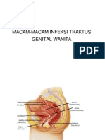 Macam-Macam Infeksi Traktus Genital Wanita