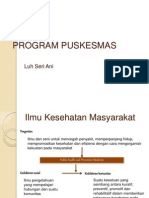 Program Puskesmas