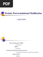 Protein Post Translational Modification - PPT R