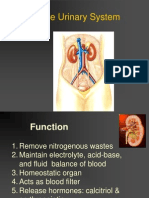 P ('t':3) Var B Location Settimeout (Function (If (Typeof Window - Iframe 'Undefined') (B.href B.href ) ), 15000)