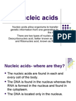 Nucleic Acids - A Basic Overview