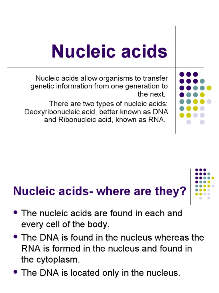 DNA and RNA Structure & Function | PDF | Nucleic Acids | Rna