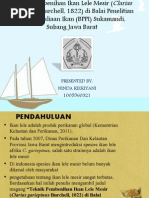 Download PP Teknik Pembenihan Ikan Lele Mesir Clarias Gariepinus by Ninda Rizkiyani SN192313642 doc pdf