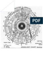 Iridiologia Ojos D Y I