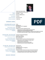 Plantilla Curriculum Vitae Europass