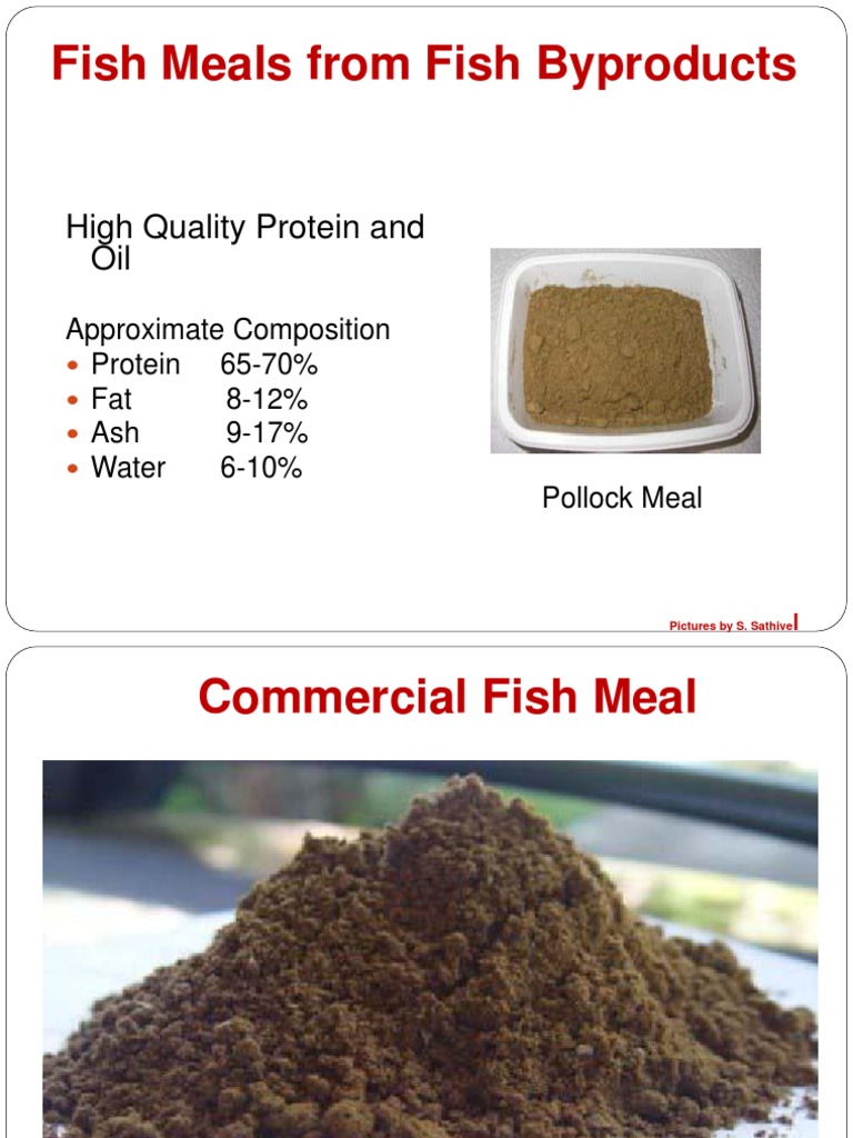Fish Byproducts: Meals, Oils, and Uses | PDF | Omega 3 Fatty Acid ...